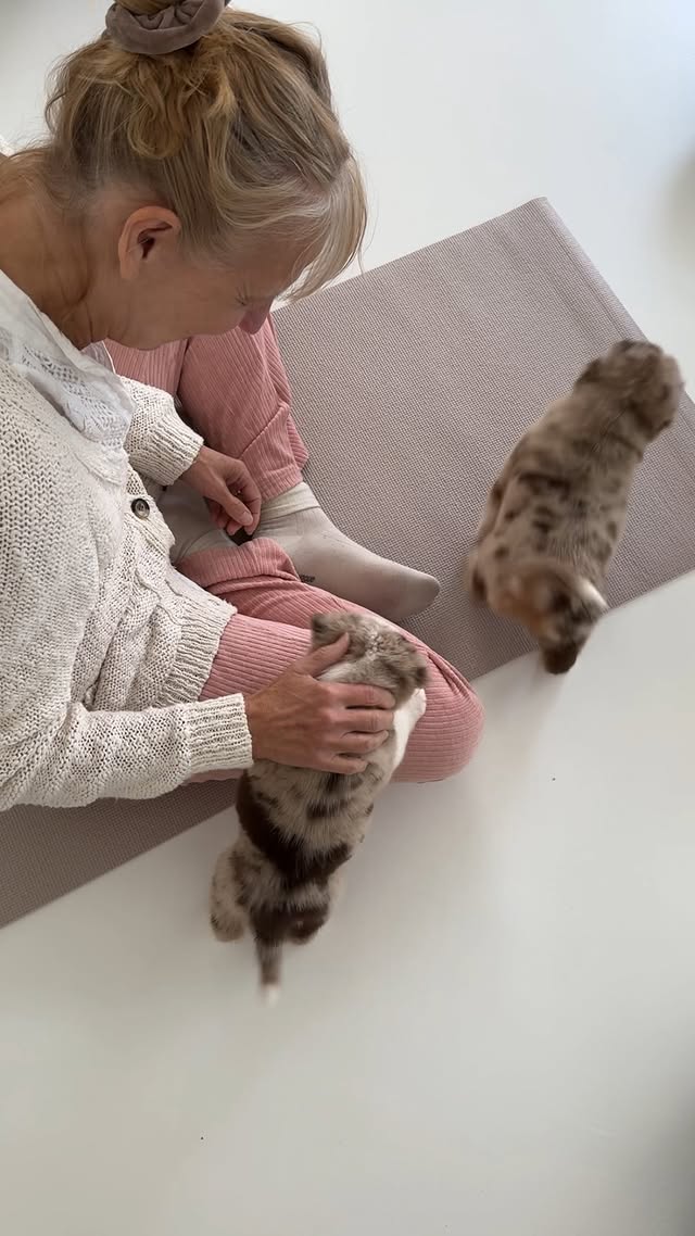 Instagram-yhteistyövideo